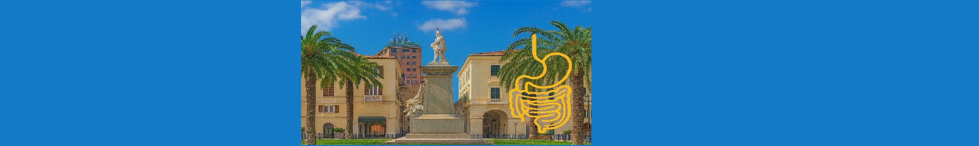 Approcci integrati al paziente gastroenterologico: 
Specialisti ed MMG a confronto"