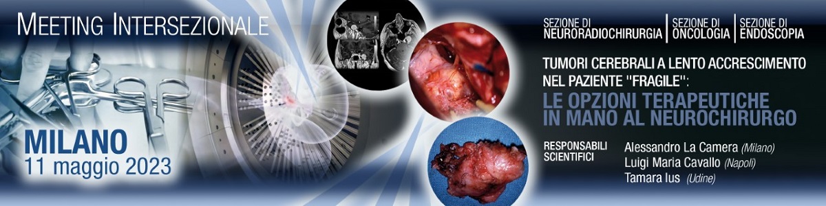 Tumori cerebrali a lento accrescimento nel paziente "fragile": le opzioni terapeutiche in mano al Neurochirurgo