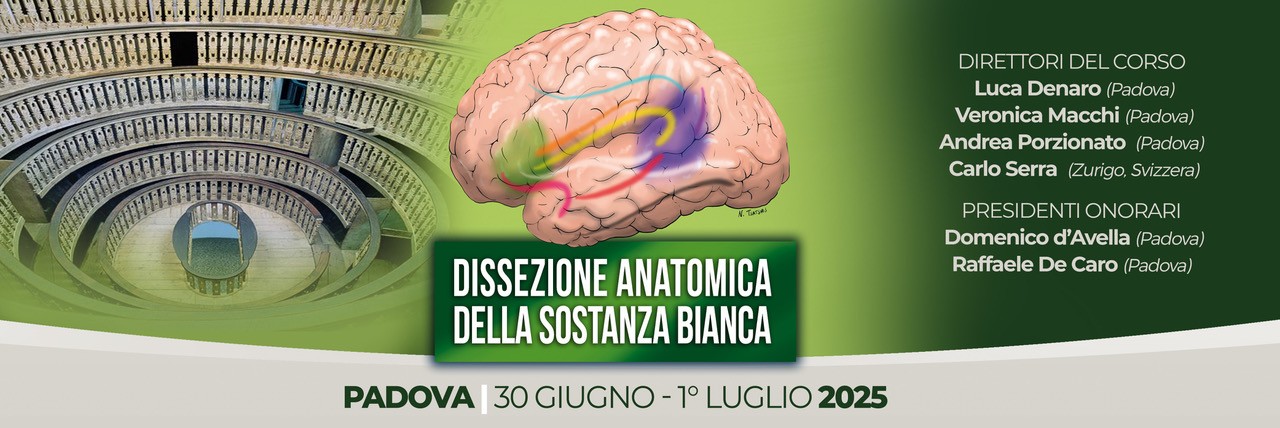 Dissezione Anatomica della Sostanza Bianca