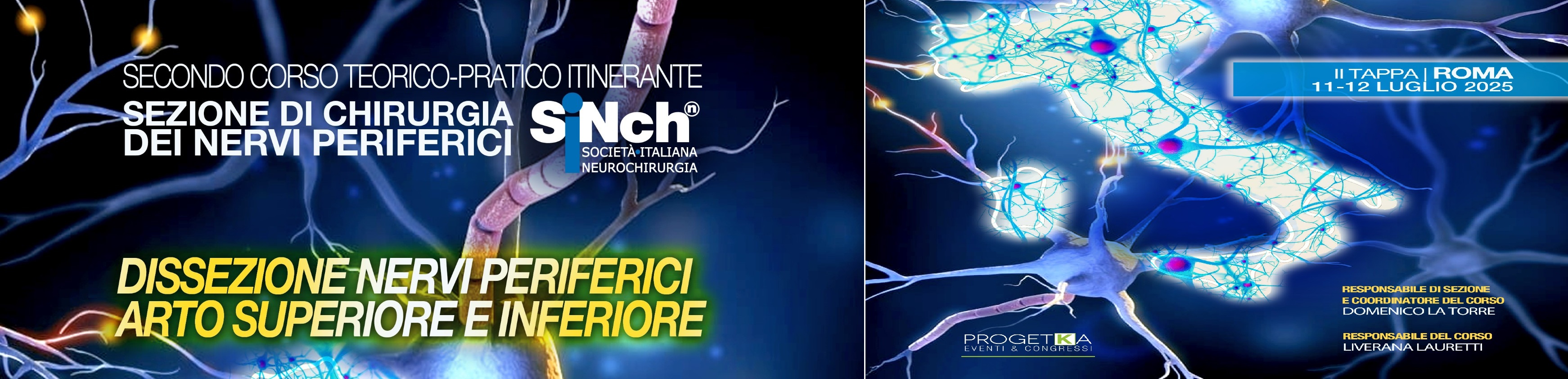 Corso di Dissezione nervi periferici arto superiore e inferiore