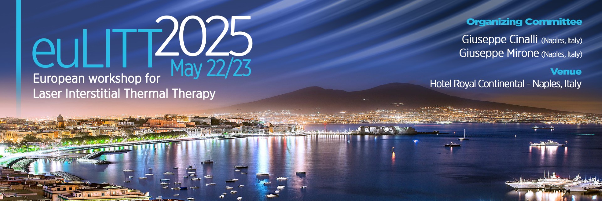 EuLITT 2025: European workshop for Laser Interstitial Thermal Therapy