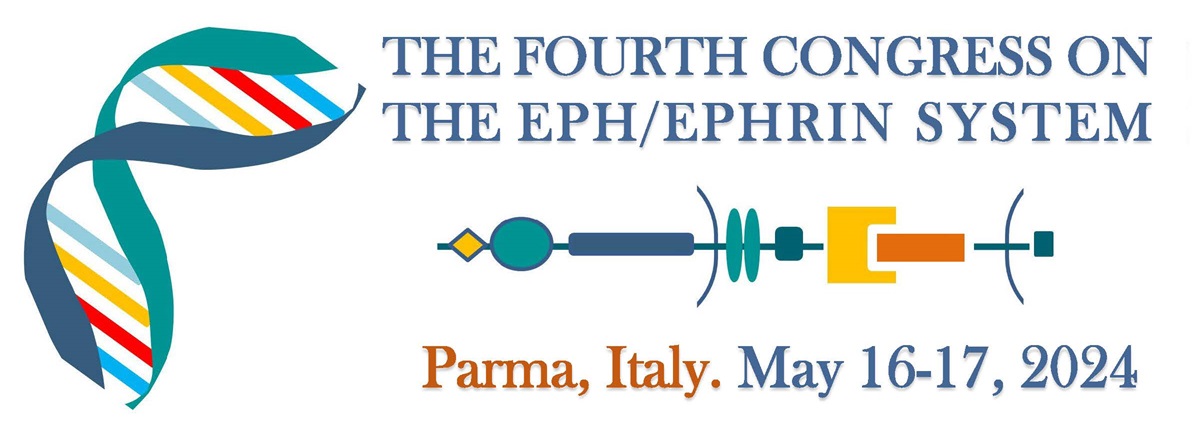 THE FOURTH CONGRESS ON THE EPH/EPHRIN SYSTEM
