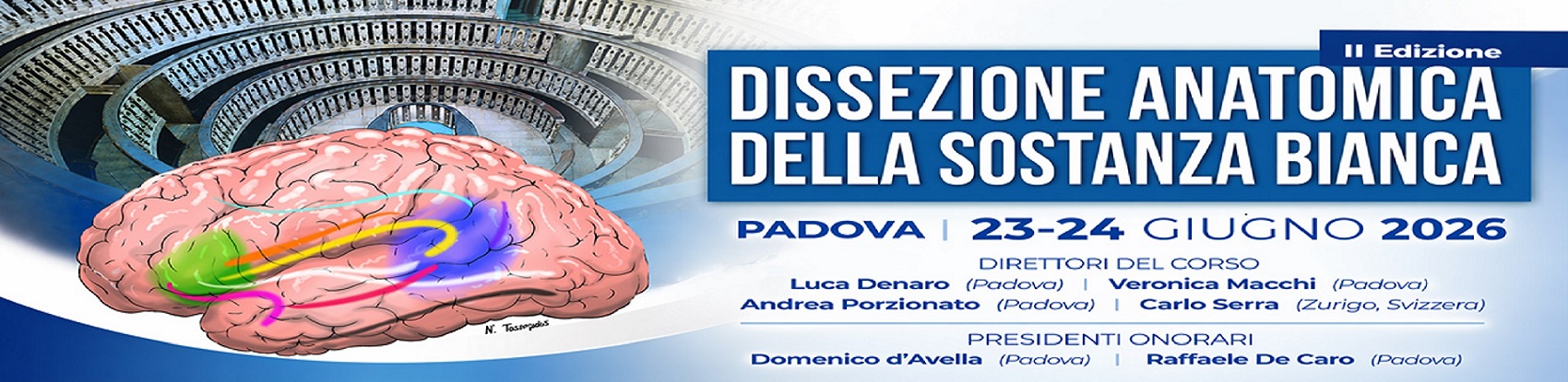 Dissezione Anatomica della Sostanza Bianca – II Edizione