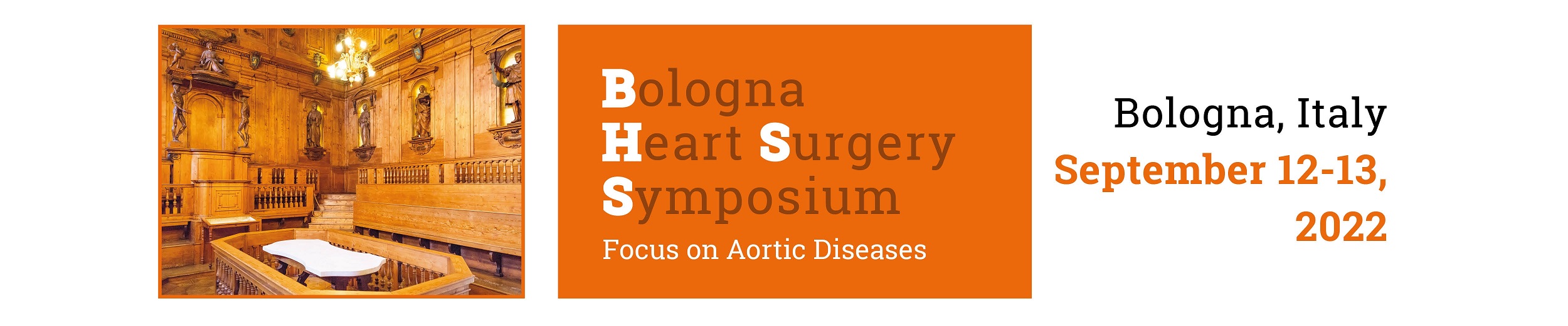Bologna Heart Surgery Symposium