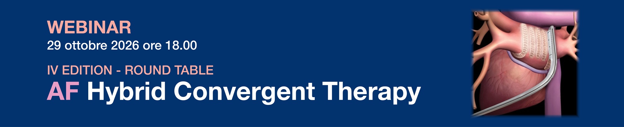 IV EDITION - ROUND TABLE
AF Hybrid Convergent Therapy