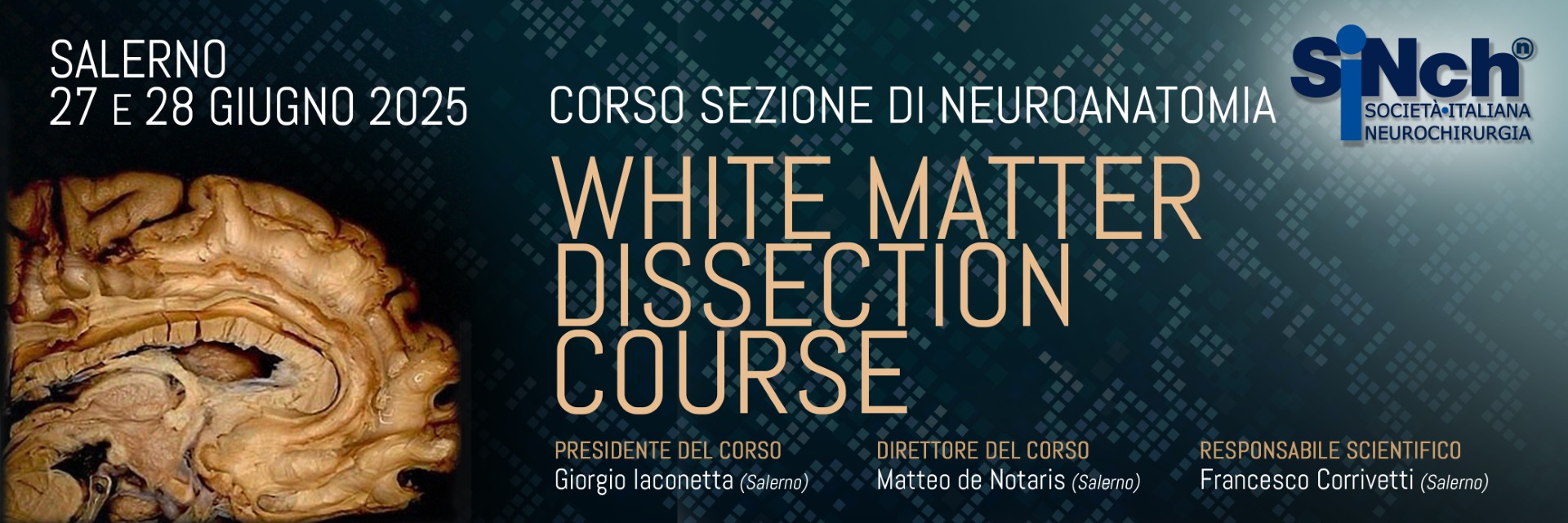 White Matter Dissection Course